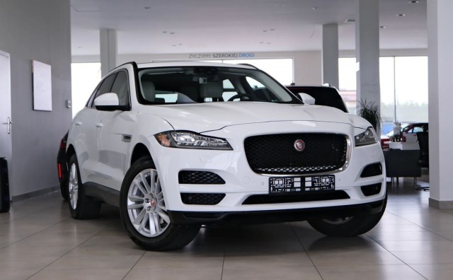 jaguar