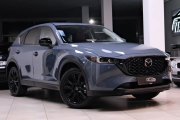 SILNIK 2.5 187KM